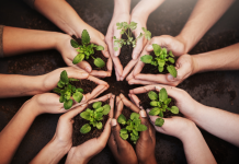 La responsabilité écologique collective écologie collective