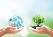 Le rapport à la terre et à l’environnement respect environnement